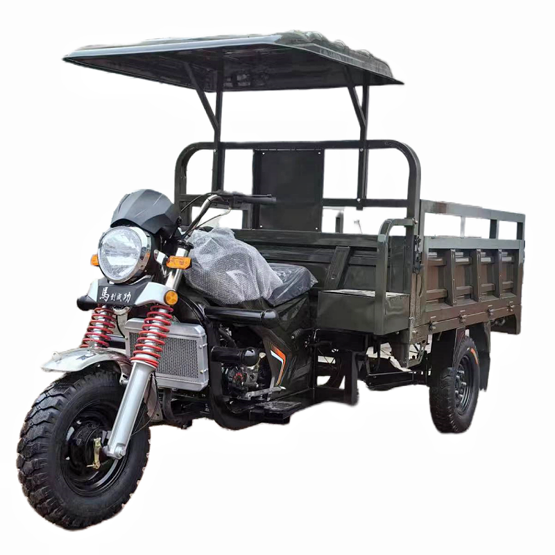 Hot Sale High Quality Big Cargo Tricycle Gasoline 3 Wheels Gasoline Tricycle Trike for Cargo Delivery